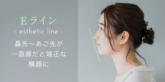 Eライン（esthetic line）鼻先〜あご先が一直線だと端正な横顔に